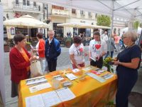 fotogaleria