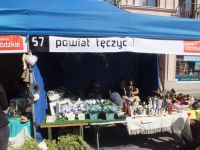 fotogaleria