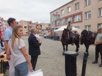 fotogaleria