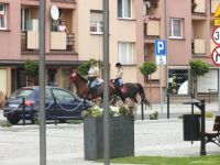 fotogaleria