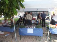 fotogaleria
