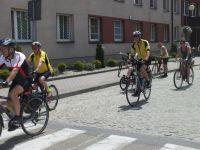 fotogaleria